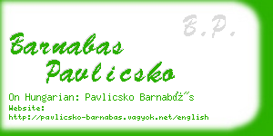 barnabas pavlicsko business card